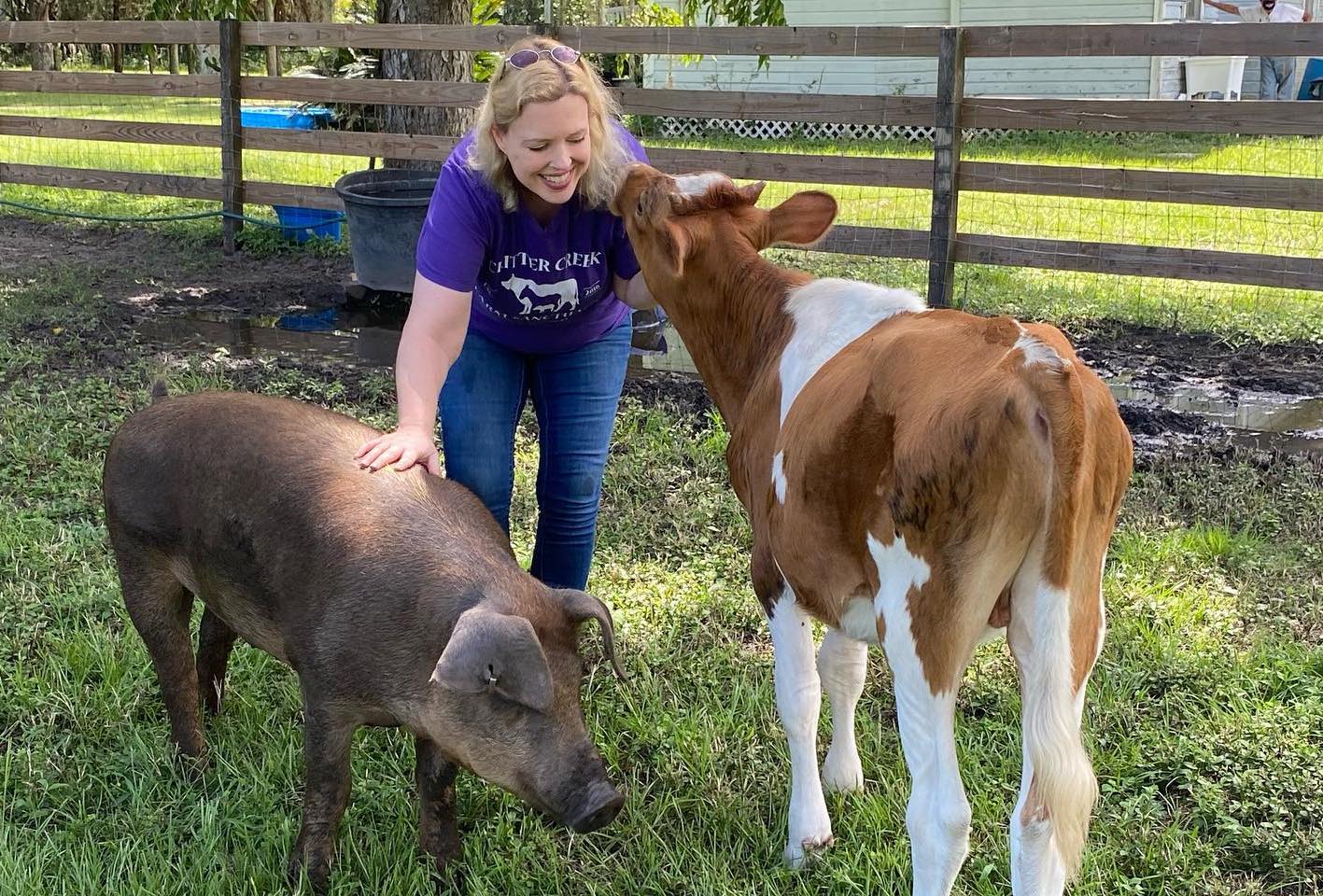 Critter Creek Farm Sanctuary