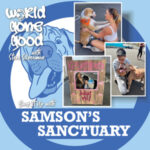 Samson's Sanctuary Gone Good