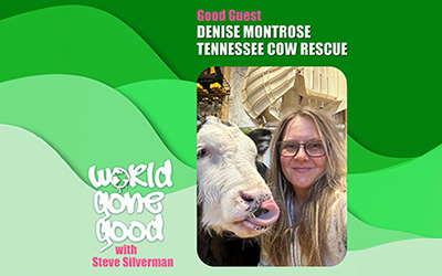 168. TENNESSEE COW RESCUE GONE GOOD